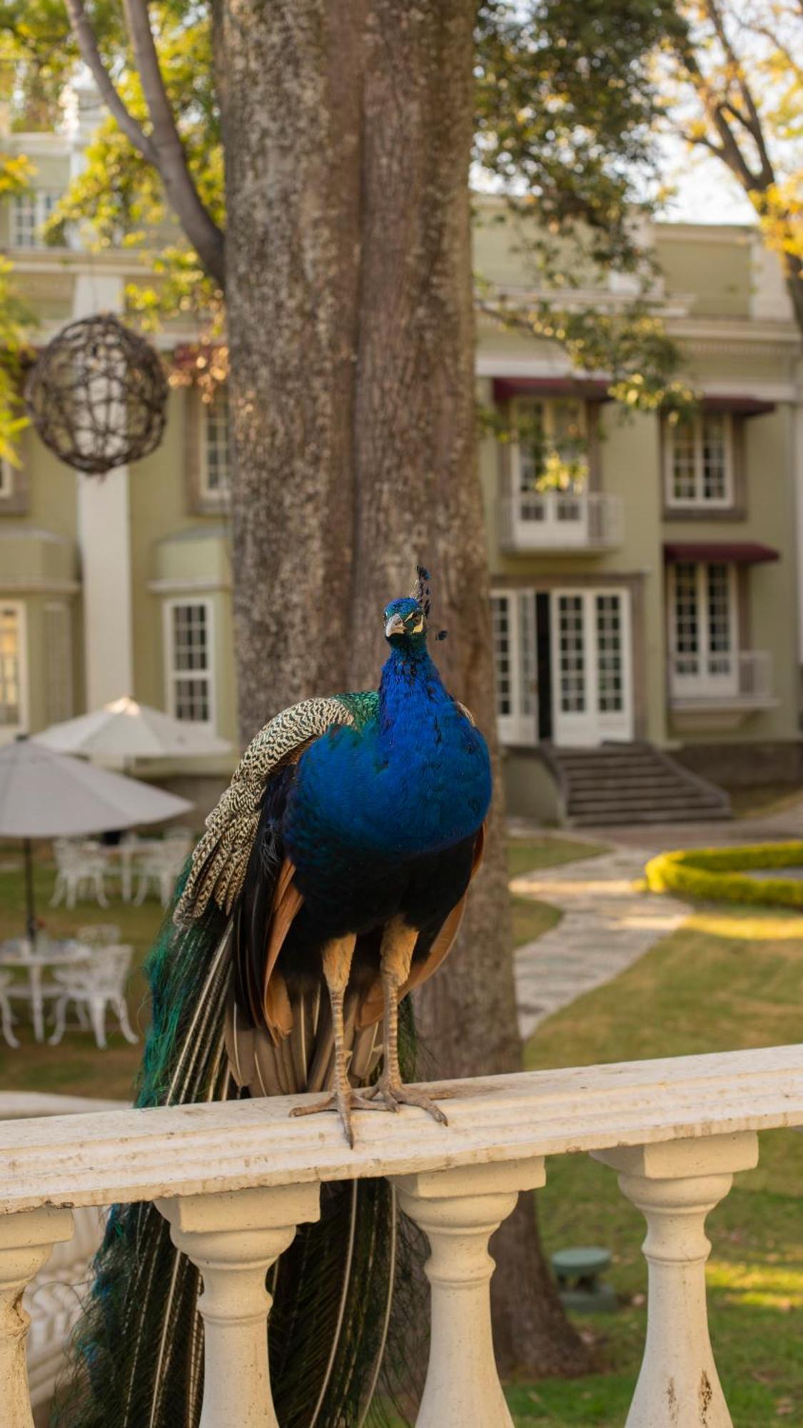 Mansion Papilio Bed & Breakfast Mexico by Eksteriør bilde