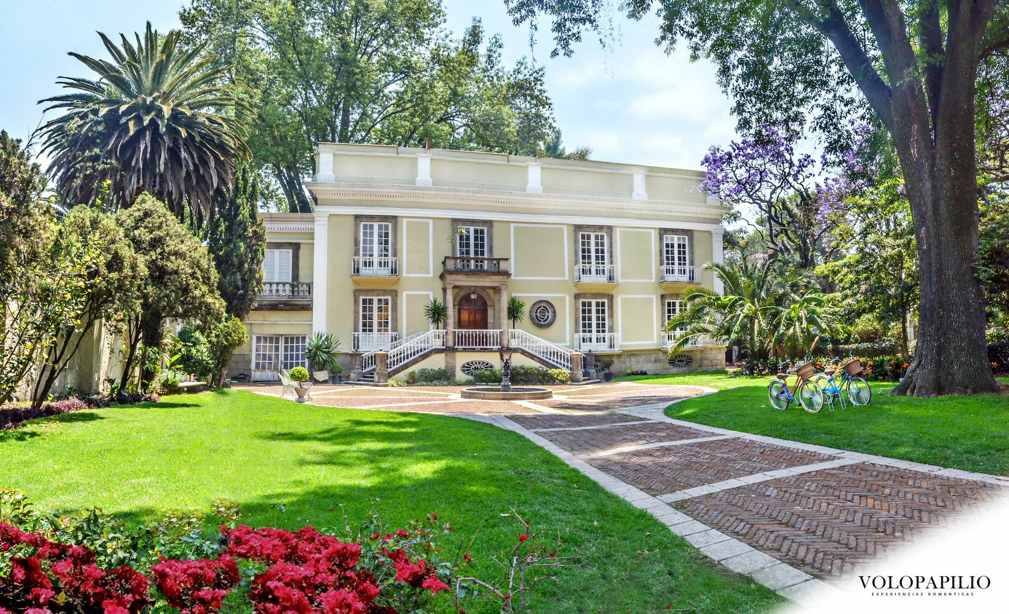 Mansion Papilio Bed & Breakfast Mexico by Eksteriør bilde